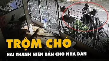 Camera ghi cảnh hai thanh niên đi xe máy bắn trộm chó nhà dân