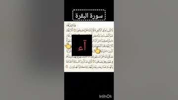 سورة البقرة (١١_١٦) حفص من الشاطبية.