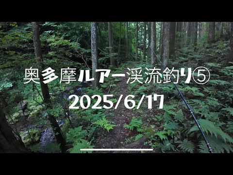奥多摩ルアー渓流釣り⑤  バルサミノー使ってみた【渓流ルアー】