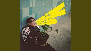 Sizbizdesip Freestyle