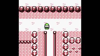Can you beat Pokémon Red without Pokémon Centers? [3rd badge]