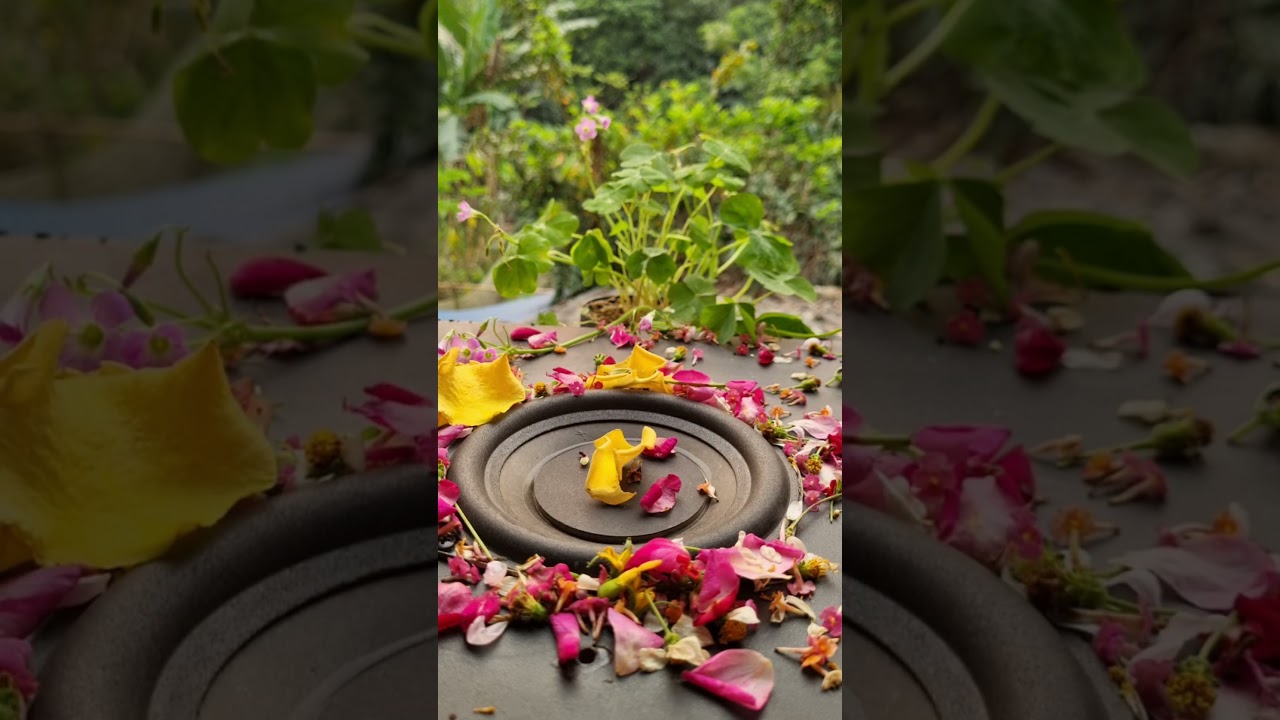 High Bass Test With Music That Heals The Heart Part 1