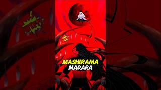 Madara vs Hashirama: Who Is Strongest? #naruto #madara #hashirama