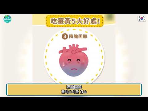 韓文字幕 抗菌抗癌增加免疫力？多吃薑黃的五大好處   항균, 항암, 면역력 강화? 강황을 많이 먹는 5가지 효능! 20250330