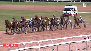 Vidéo de la course PMU PRIX SYNERGIE