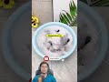 Amazing Mini Dishwasher & Washing Machine