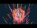 MUTEMATH - Monument (LaLa Remix) [Official Visualizer]
