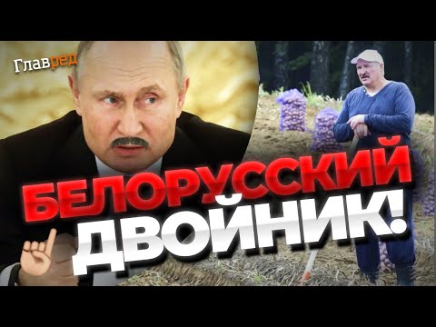 Раскрыты скандальные факты! Как судья из Гродно стал двойником Путина?