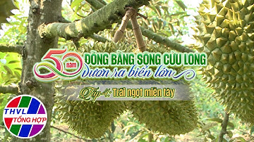 Nhịp sống đồng bằng: Đồng bằng sông Cửu Long 50 năm vươn ra biển lớn - Tập 4: Trái ngọt miền tây