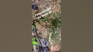 air mata air punca sungai #airmataair #puncasungai