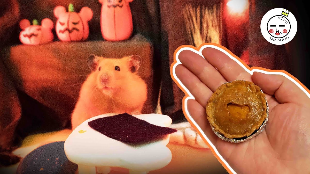 Hamster Restaurant (DIY Hamster Snack) Pumpkin Pie Halloween