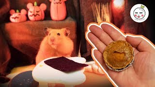 Hamster Restaurant (DIY Hamster Snack) | Pumpkin Pie - Halloween Special