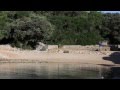 (Naturist) Camping Kroatien: Camping Baldarin - Punta Križa, insel Cres