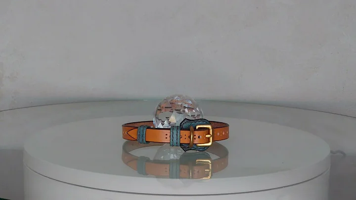 Edwin Bell Small Dog Collar