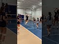 These are amazing plays 👏🏼🏐 #volleyball #foryou