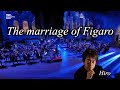 Mozart The Marriage of Figaro Overture A sparkling rush of wit and excitement!