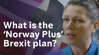 Much has been said about "Norway Plus" - a free trade area inside t...