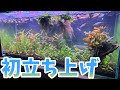 【アクアリウム】60cmスリム水槽を立ち上げてみた！【メダカ用】