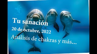 Tu sanación 20 de octubre, 2022Análisis de chakras y más...