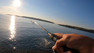 Havsöring - Syd-Långö 4K