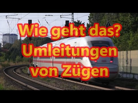 20 Jahre „Metronom“ – eine Erfolgsgeschichte!?