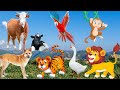 Lives of animals dog cat tiger lion elephant duck monkey cow  animal sounds