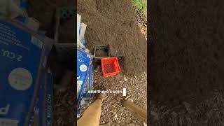 Can’t have too much compost, right? 😅