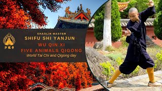 Qigong Practice - Wu Qin Xi (Five Animals Play) | Shifu Shi Yanjun
