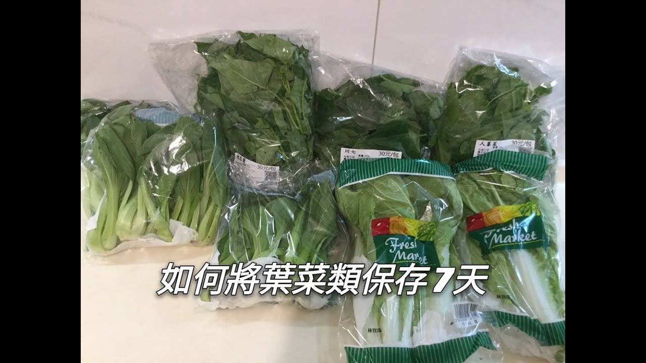小家庭如何將葉菜類蔬菜保存7天 Youtube