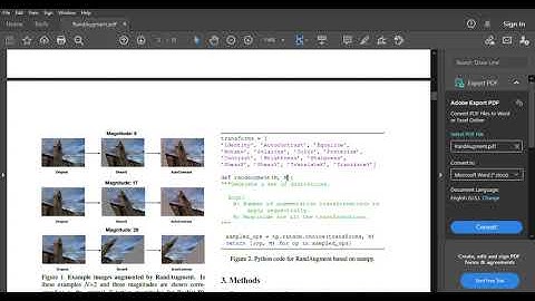 Why RandAugment is the best Data Augmentation technique