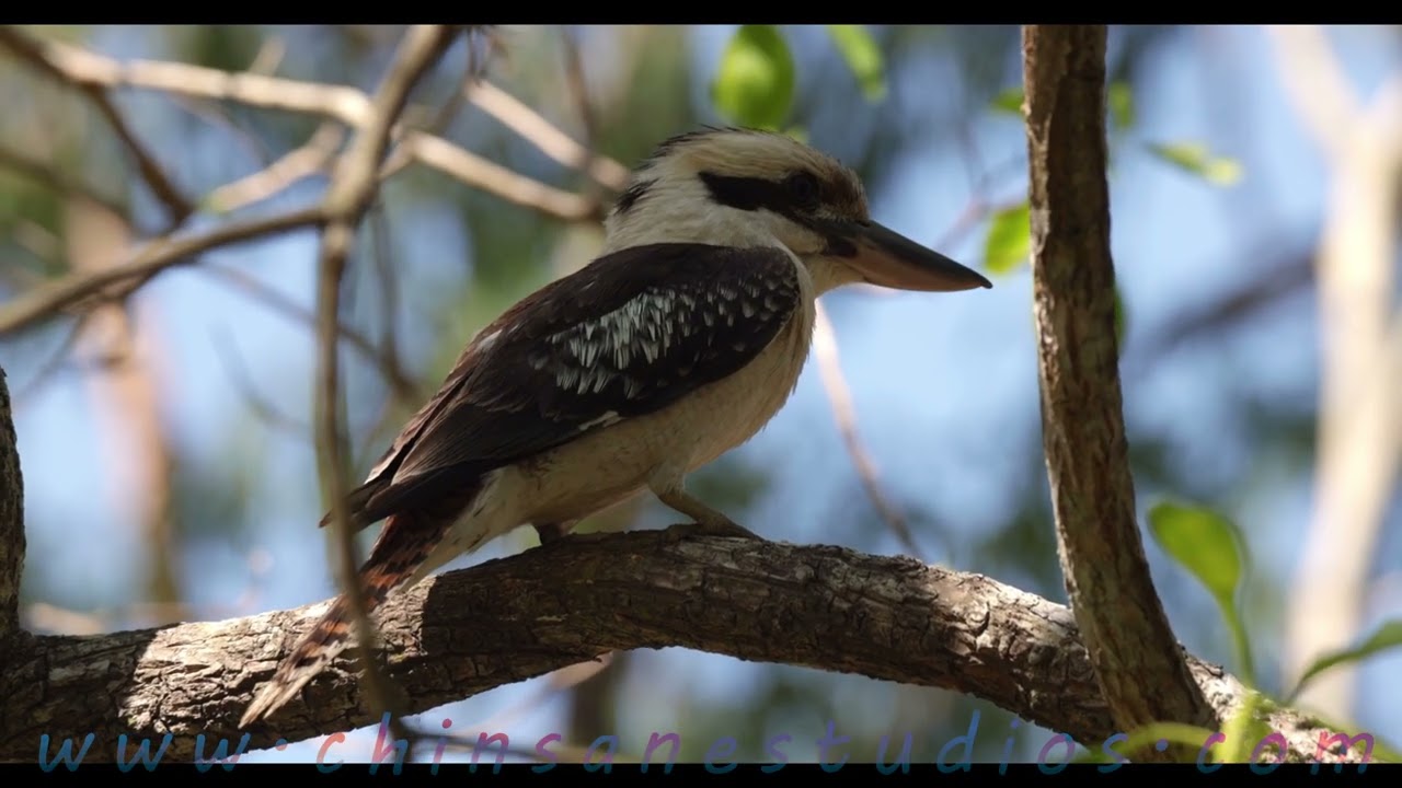 End of the World - by Alexx Calise