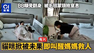 Hero Cat Saves Baby Suffocating Under Blanket | Pet Hero Stories