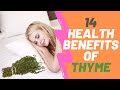 14 health benefits of Thyme