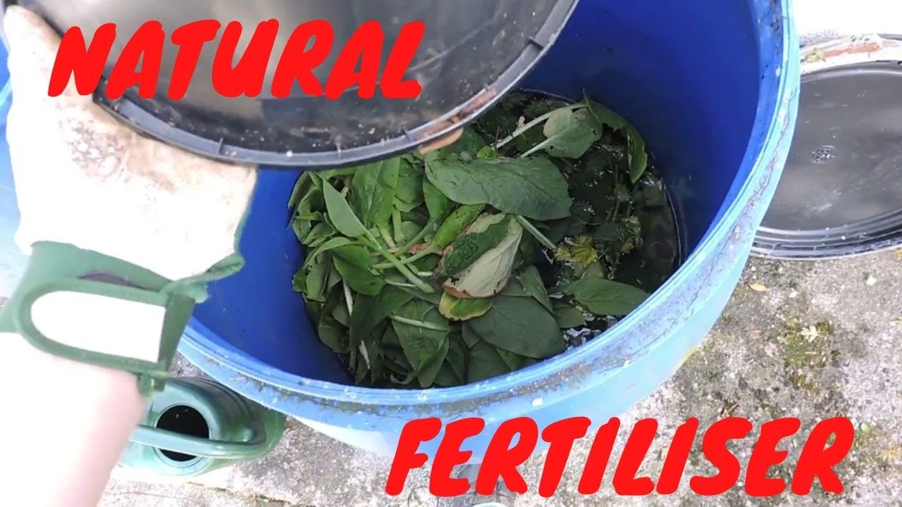 How To Make Compost Tea from Nettles and Comfrey YouTube