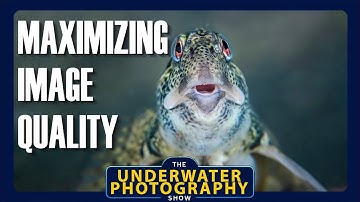 Maximising Image Quality When Shooting Underwater