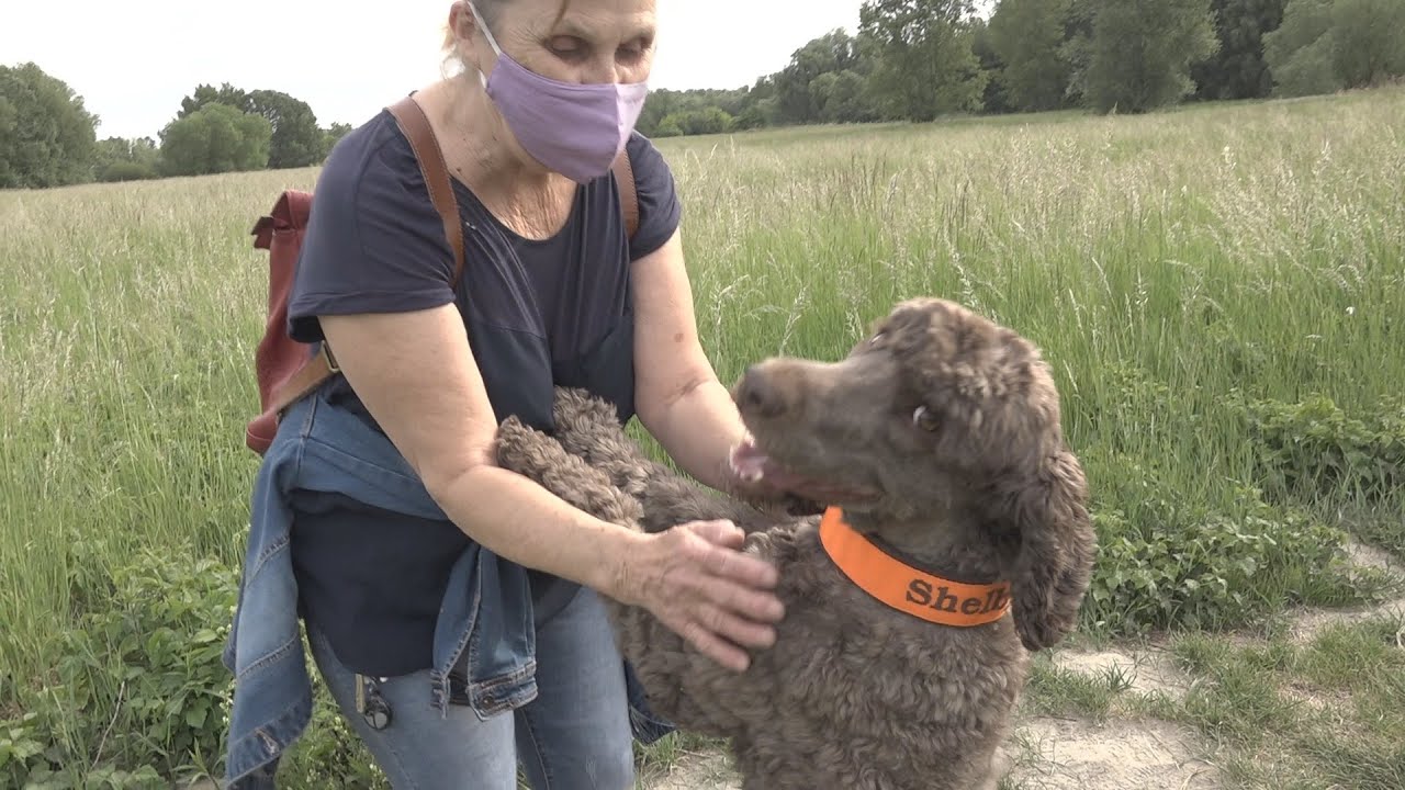 Psom sociálny odstup pomáha. Aj po pandémii