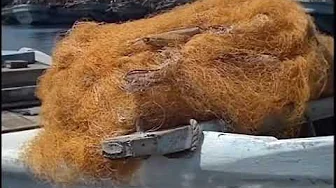 Fishing nets of the world