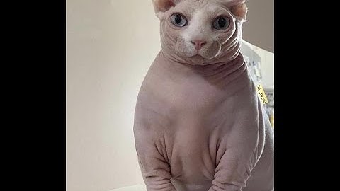 How to load custom models in Source filmmaker