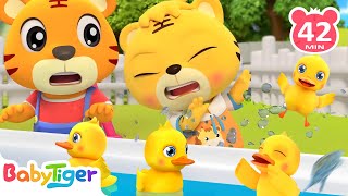 Five Little Ducks & Hey Diddle Diddle + More Animal Songs & Nursery Rhymes | Kids Cartoon |BabyTiger