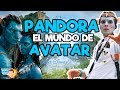 PANDORA: El Mundo de Avatar / Memo Aponte
