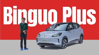 Byd Dolphins 12.5K Head-On Rival - Wuling Binguo Plus Static Review