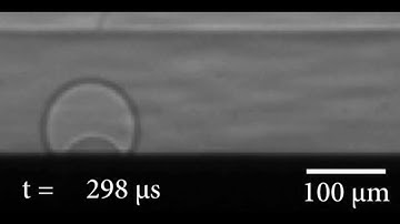 Air bubble formation during water drop impact: X-ray images