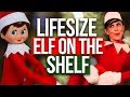 LIFESIZE Elf on the Shelf?! (Beauty Break)