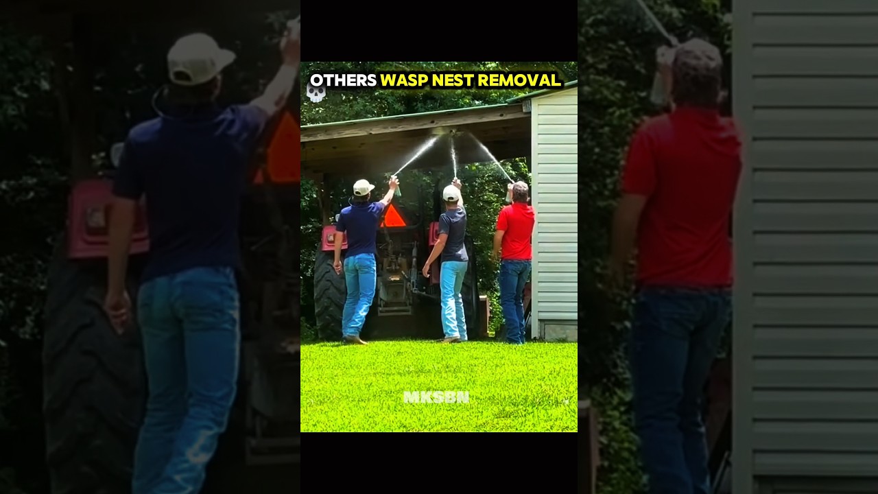 OTHERS' Wasp Nest Removal 🐝 vs This Funny Guy 😂 | Hilarious Fail! pt.2