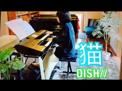 DISH// 【猫】エレクトーン演奏