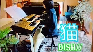 DISH// 【猫】エレクトーン演奏