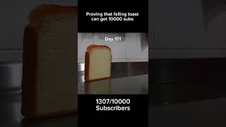 Proving that falling toast can get 10000 subs #funny #food #memes #bread #jokes