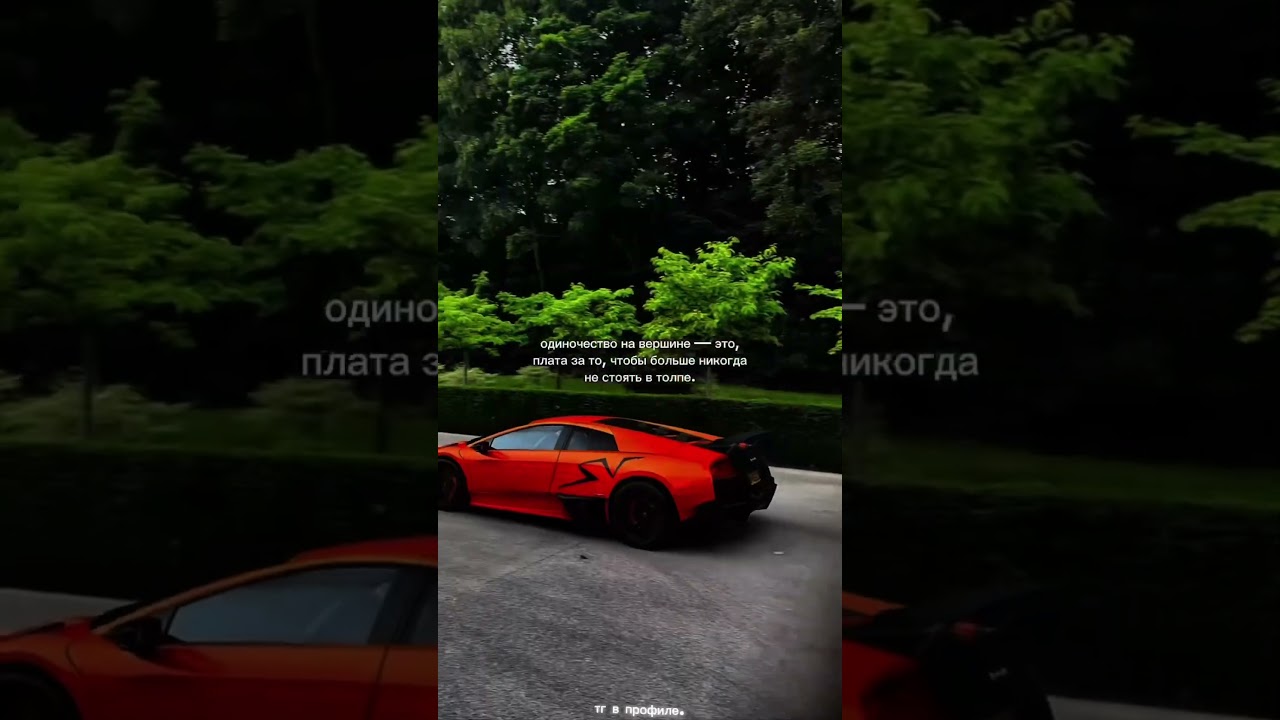 Обучение в профиле 