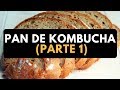 Cómo hacer PAN de KOMBUCHA 1/3 🥖 - Kombucha