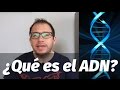 Capítulo 5 | ¿Qué es el ADN?